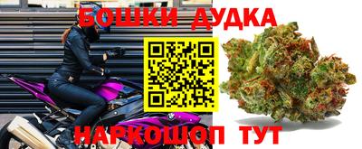 ГАЛЛЮЦИНОГЕННЫЕ ГРИБЫ Малгобек
