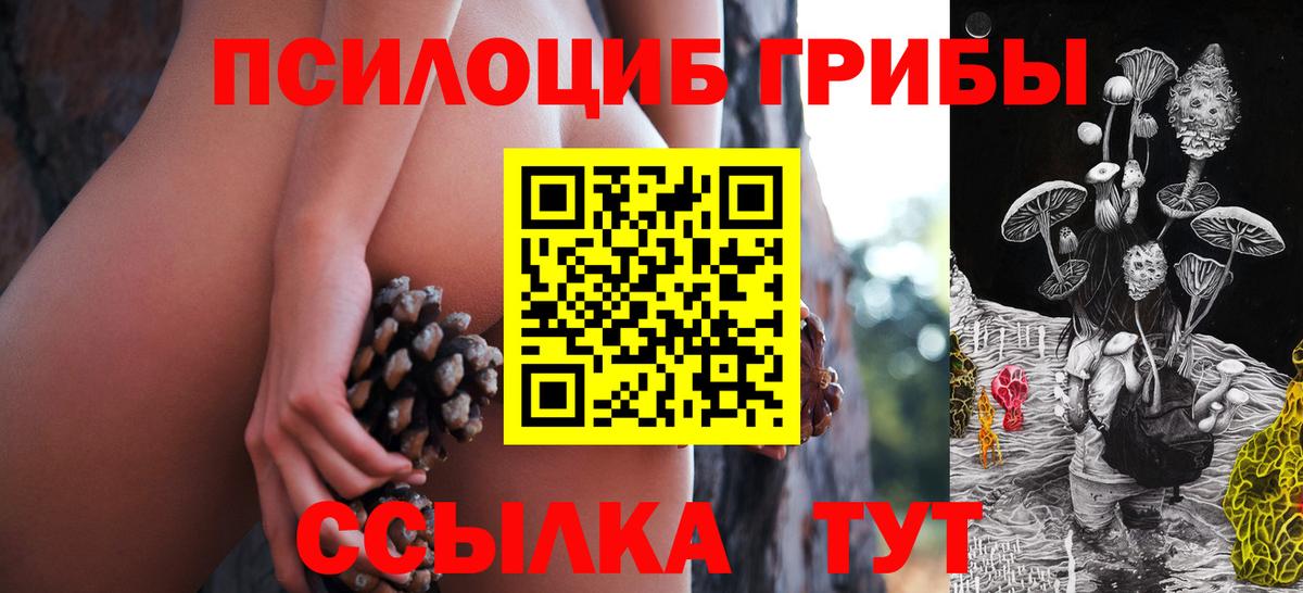 Псилоцибиновые грибы мухоморы Черняховск